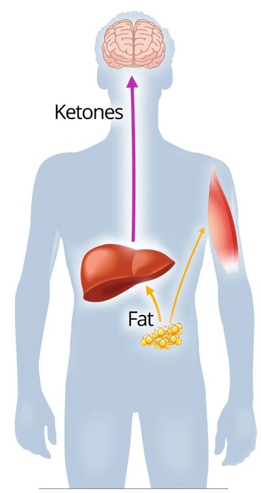 Ketosis le NexaSlim
